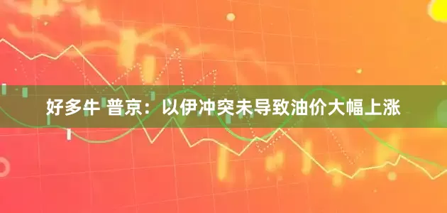 好多牛 普京：以伊冲突未导致油价大幅上涨
