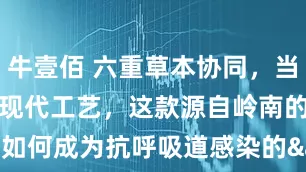 牛壹佰 六重草本协同，当传统凉茶遇上现代工艺，这款源自岭南的复方制剂如何成为抗呼吸道感染的"黄金组合"？_金菊_花茶_中成药