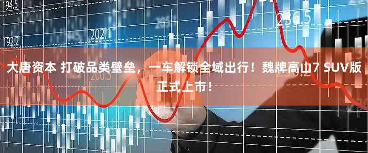大唐资本 打破品类壁垒,一车解锁全域出行!魏牌高山7 SUV版正式上市!